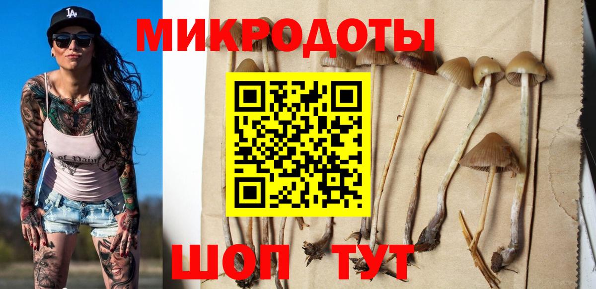 Псилоцибиновые грибы ЛСД  Вход с VPN  Гусев 