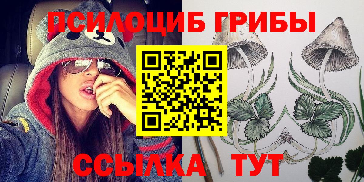 Псилоцибиновые грибы Cubensis Гусев